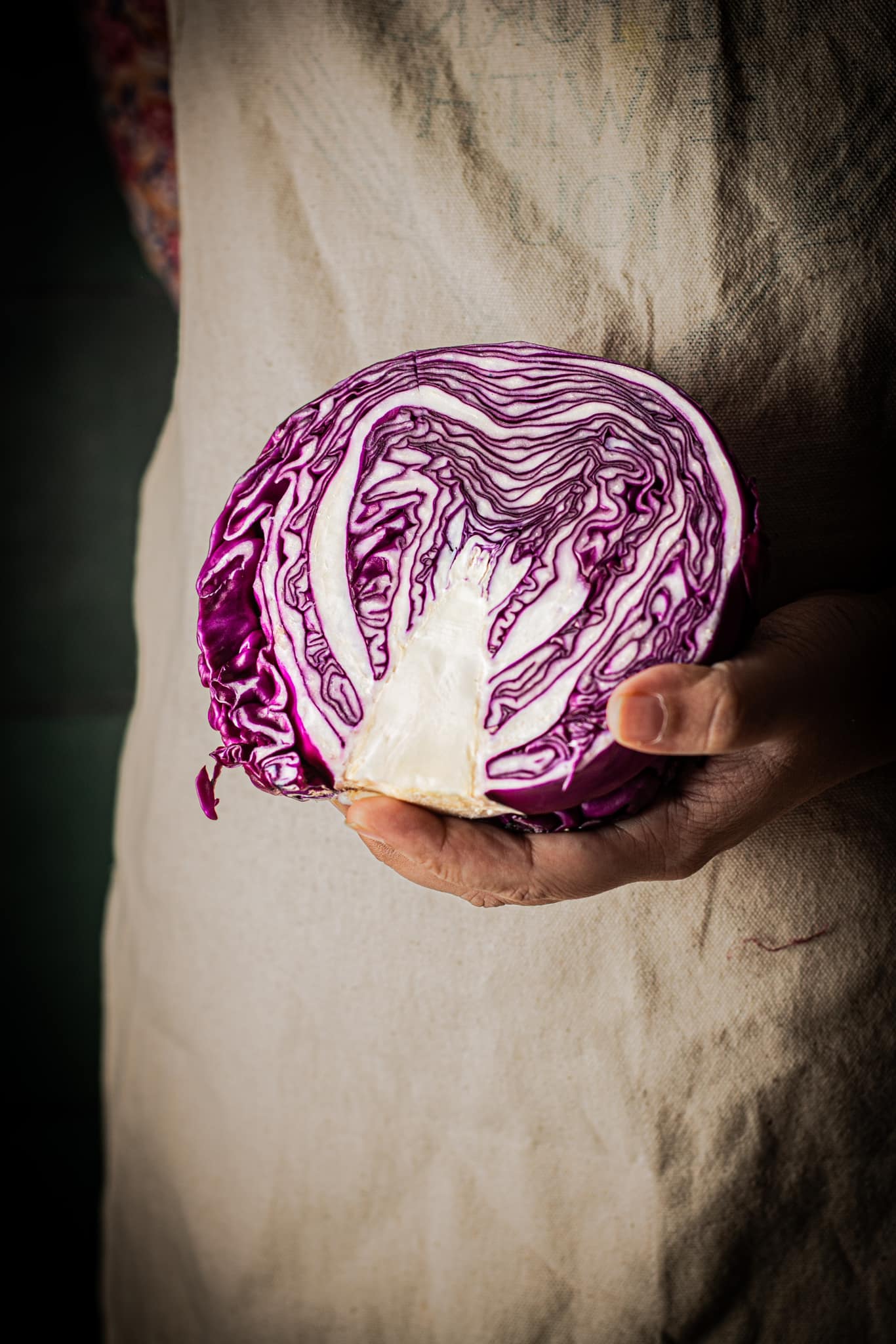 Purple cabbage